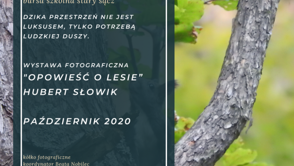Wystawa fotograficzna Huberta Słowika "Opowieść o lesie" (2)
